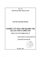 Nghiên cứu bào chế hệ điều trị qua da chứa lidocain