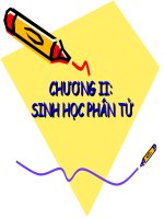 Bài giảng sinh học di truyền chương 2   sinh học phân tử 