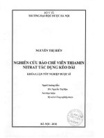 Nghiên cứu bào chế viên thiamin nitrat tác dụng kéo dài