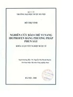Nghiên cứu bào chế vi nang ibuprofen bằng phương pháp phun sấy