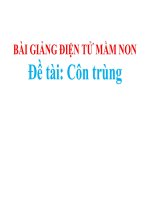 Bài giảng điện tử mầm non lớp Mầm đề tài Côn trùng