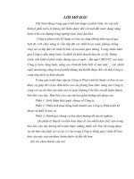 Báo cáo thực tập kế toán tổng hợp tại công ty phát triển kỹ thuật và bảo vệ