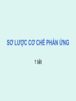 Bài giảng hóa học sơ lược cơ chế phản ứng 