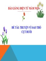 Bài giảng điện tử mầm non lớp Chồi đề tài Truyện vì sao thỏ cụt đuôi