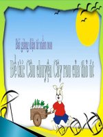 Bài giảng điện tử mầm non lớp Chồi đề tài Câu chuyện cây rau của thỏ út