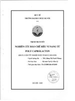 Nghiên cứu bào chế siêu vi nang từ poly caprolacton