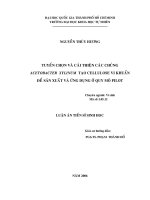 Tuyển chọn và cải thiện các chủng acetobacter xylinum tạo cellulose vi khuẩn để sản xuất và ứng dụng ở quy mô pilot