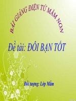 Bài giảng điện tử mầm non lớp Mầm đề tài Đôi bạn