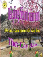 Bài giảng điện tử mầm non Lớp nhà trẻ đề tài Làm quen văn học thơ cây đào
