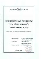 Nghiên cứu bào chế thuốc tiêm đông khô chứa 3 vitamin ( b1, b6, b12 )