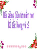 Bài giảng điện tử mầm non Lớp nhà trẻ đề tài Rong và cá