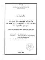Đánh giá khả năng bất động của lacto bacillus acidophilus trên cơ chất ca  alginat và agar agar