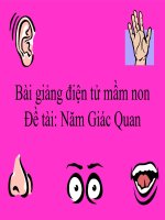 Bài giảng điện tử mầm non lớp Mầm đề tài Năm giác quan