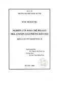 Nghiên cứu bào chế pellet melatonin giải phóng kéo dài