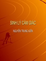 Bài giảng sinh lý cảm giác (PGs  ts  nguyễn trung kiên) 