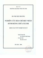 Nghiên cứu bào chế bột nhão đánh răng chứa fluor