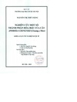 Nghiên cứu một số thành phần hoá học của cây aporosa chinensis (champ ) merr
