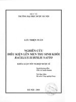 Nghiên cứu điều kiện lên men thu sinh khối bacillus subtilis natto