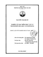Nghiên cứu đặc điểm thực vật và thành phần hóa học cây buởi bung