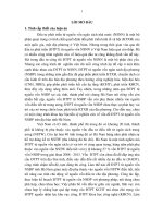 tóm tắt luận án đầu tư phát triển từ nguồn vốn ngân sách địa phương tỉnh hà nam