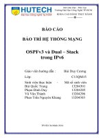 Báo cáo bảo trì hệ thống mạng OSPFv3 và dual stack trong IPv6