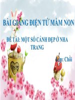 Bài giảng điện tử mầm non lớp Chồi đề tài Một số cảnh đẹp ở Nha Trang
