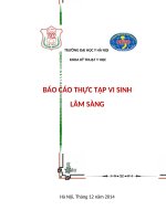 báo cáo thực tập vi sinh lâm sàng