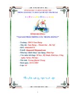 Vận dụng các kiến thức liên môn giải quyết tình huống tại sao phải trồng cây thẳng hàng