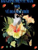 Bài giảng điện tử mầm non lớp Chồi đề tài Vẽ hoa mặt trời