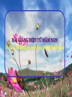 Bài giảng điện tử mầm non lớp Chồi đề tài Bài giảng văn học Nắng bốn mùa