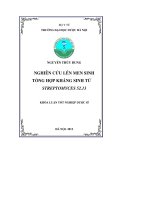 Nghiên cứu lên men sinh tổng hợp kháng sinh từ streptomyces 52 13