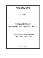 Hiệu quả kinh doanh của công ty cổ phần tập đoàn JOC việt nam 