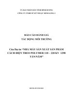 Báo cáo đánh giá tác động môi trường của dự án nhà máy sản xuất sản phẩm cách điện treo polymer 110-220 kv 1290 tấn/năm