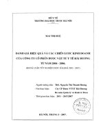Đánh giá hiệu quả và các chiến lược kinh doanh của công ty cổ phần dược vật tư y tế hải dương từ năm 2004   2006