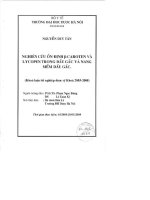 Nghiên cứu ổn định beta   caroten và lycofen trong dầu gấc và nang mềm dầu gấc