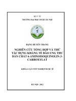Nghiên cứu tổng hợp và thử tác dụng kháng tế bào ung thư dẫn chất 6   aminoisoquinolin   3  carboxylat