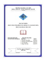 phân tích tình hình tài chính của tập đoàn hòa phát giai đoạn 2006 2010 