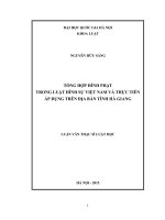 Tổng hợp hình phạt trong luật hình sự việt nam và thực tiễn áp dụng trên địa bàn tỉnh hà giang 