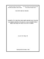 Nghiên cứu phương pháp biến đổi bề mặt thanh dao động hướng đến ứng dụng làm cảm biến phát hiện chỉ thị ung thư gan AFP và DKK1 