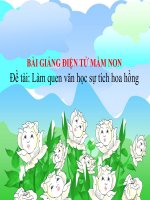Bài giảng điện tử mầm non lớp Chồi đề tài Làm quen văn học Sự tích hoa hồng