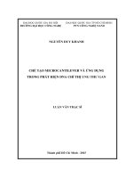 Chế tạo microcantilever và ứng dụng trong phát hiện DNA chỉ thị ung thư gan 