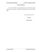 Đề xuất chiến lược kinh doanh sản phẩm Tượng Thạch Cao của công ty Cổ phần HHD