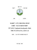 Nghiên cứu phương pháp chiết xuất rotundin từ loài stephania brachyandra diels thu hái ở sapa, lào cai