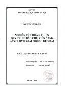 Nghiên cứu hoàn thiện quy trình bào chế viên nang acyclovir giải phóng kéo dài