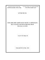 Tổng hợp, điều khiển kích thước và hình dạng hạt nano platin bằng phương pháp polyol cải tiến 