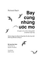 Bay cùng những ước mơ