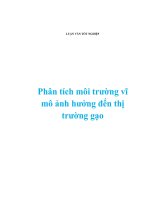 Phân tích môi trường vĩ mô ảnh hưởng đến thị trường gạo