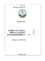 Nghiên cứu bào chế viên giải phóng có kiểm soát chứa pseudoephedrin và loratadin