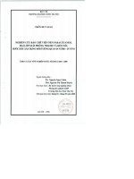 Nghiên cứu bào chế viên nén paracetamol hai lớp giải phóng ngay và kéo dài  bước đầu xây dựng mối tương quan invitro   invivo