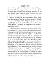 Báo cáo thực tập tổng hợp tại công ty TNHH thiết bị thể dục thể thao việt hà